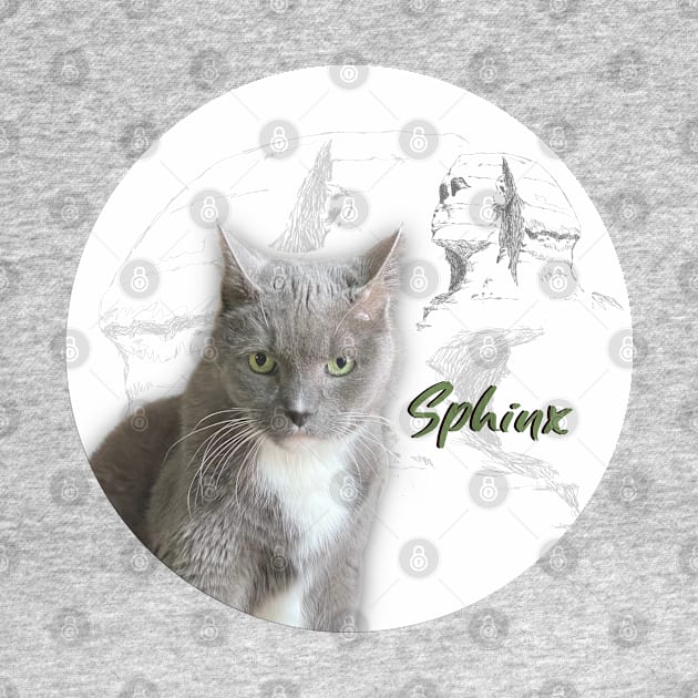 Sphynx Egyptian Grey Cat by Long-N-Short-Shop